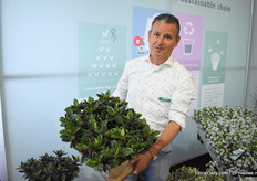 Pieter met eerste Hebe uit de kas. De eerste kunnen nu bestelt worden. De buitenteelt zal over twee weken volgen.